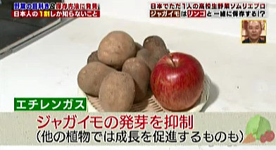 ハナタカ優越館1005ジャガイモリンゴ.jpg