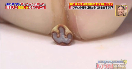 ハナタカ優越館803ブドウ.jpg