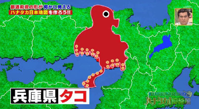 ハナタカ優越館907タコ.jpg