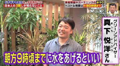ハナタカ優越館914植物.jpg