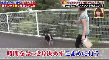 ハナタカ優越館921いぬ.jpg