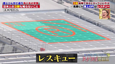 ハナタカ優越館921レスキューR.jpg