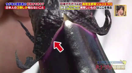 ハナタカ優越館713ナスの目利き2.bmp