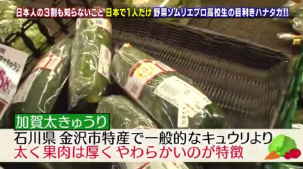 ハナタカ優越館713野菜ソムリエ加賀.bmp