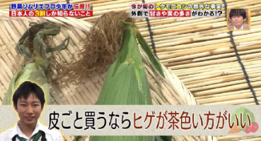 ハナタカ優越館824トウモロコシヒゲ.jpg