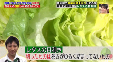 ハナタカ優越館824レタス目利き半分.jpg