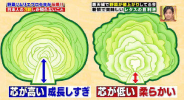 ハナタカ優越館824レタス芯の高さ.jpg