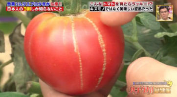 ハナタカ優越館824野菜ソムリエトマト.jpg