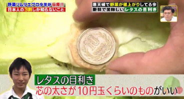 ハナタカ優越館824野菜ソムリエレタス目利き2.jpg