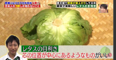 ハナタカ優越館824野菜ソムリエレタス目利き3.jpg