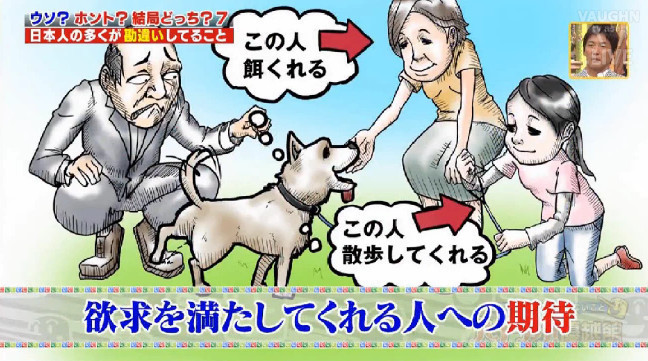 犬が.jpg