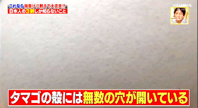 玉子.jpg